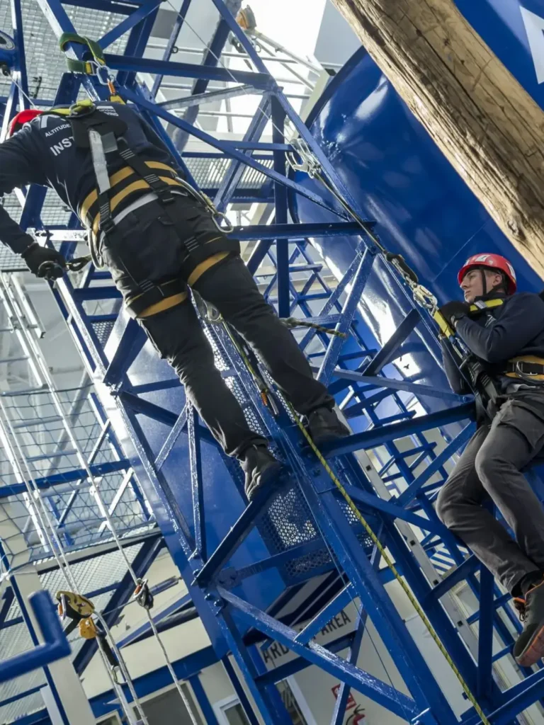 Cursos de formación