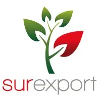 surexport_logo